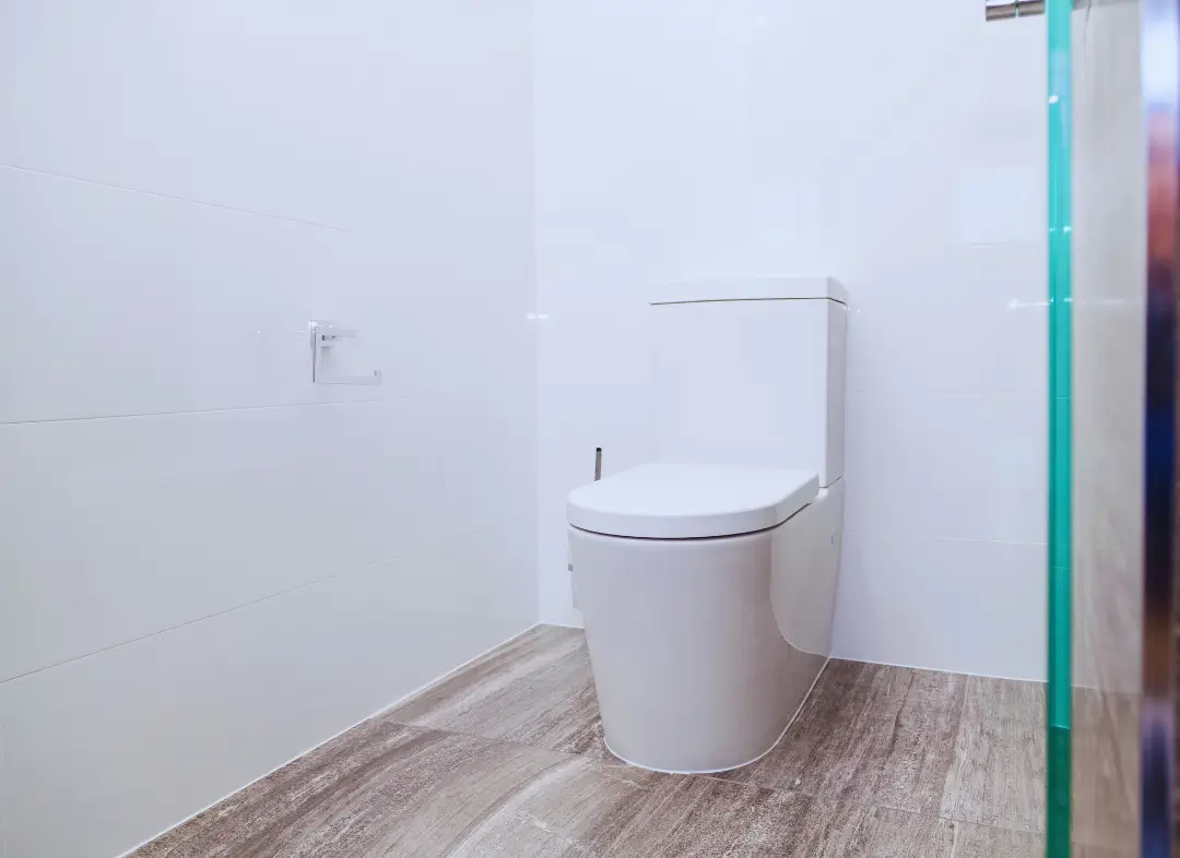 Remplacement de wc Saint-Cézaire-sur-Siagne